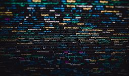 Les quatre stratégies gagnantes pour décrocher un job de data scientist