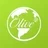 Olive Asset Management